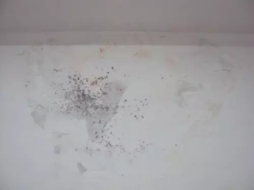 房屋墙壁渗水怎么办？别担心，炫威装饰来支招